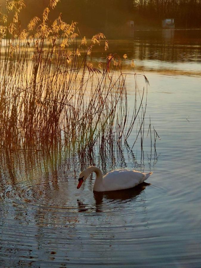 Tramonto Al Lago Gavirate Exterior foto